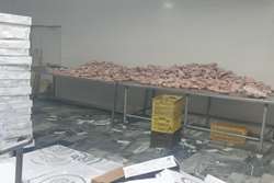 کشف حدود 2 تن قطعات مرغ منجمد دیفراست شده در شهرستان بینالود